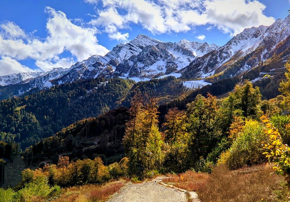 Фотография автора Андрей Павловский