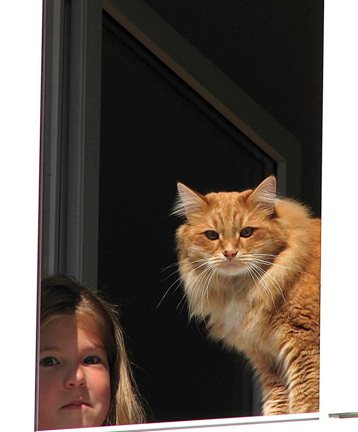 Photo #11555354