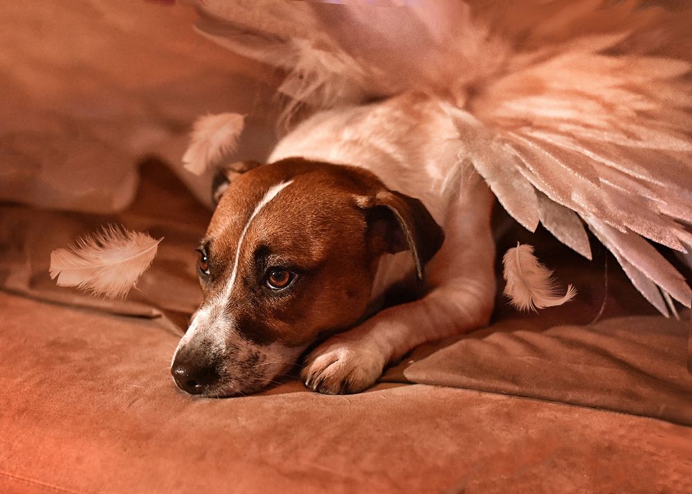 Фотография автора Ушакова Елена