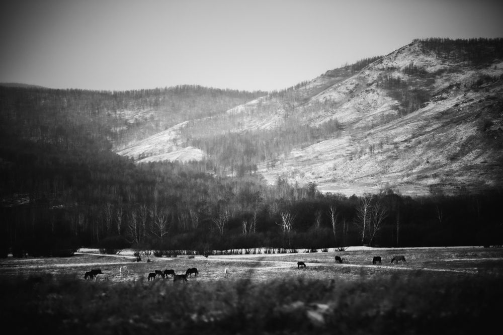 Photograph by Виктория Хадкевич