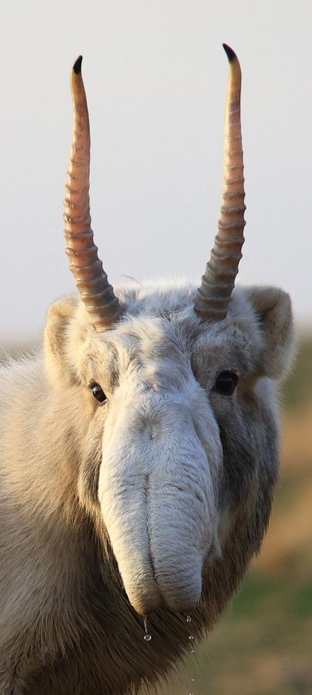 Первозданная красота