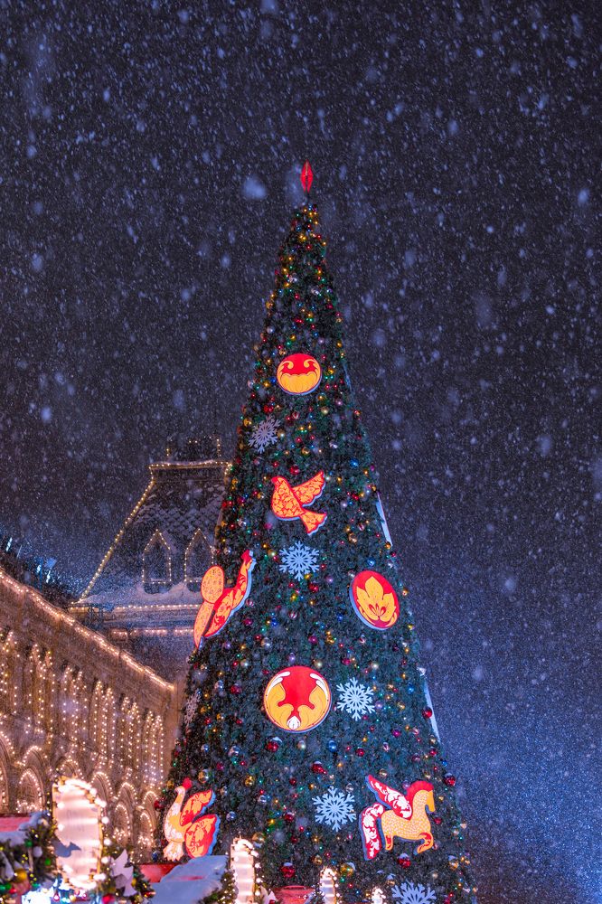 Photograph by Siarhei Saladukhin