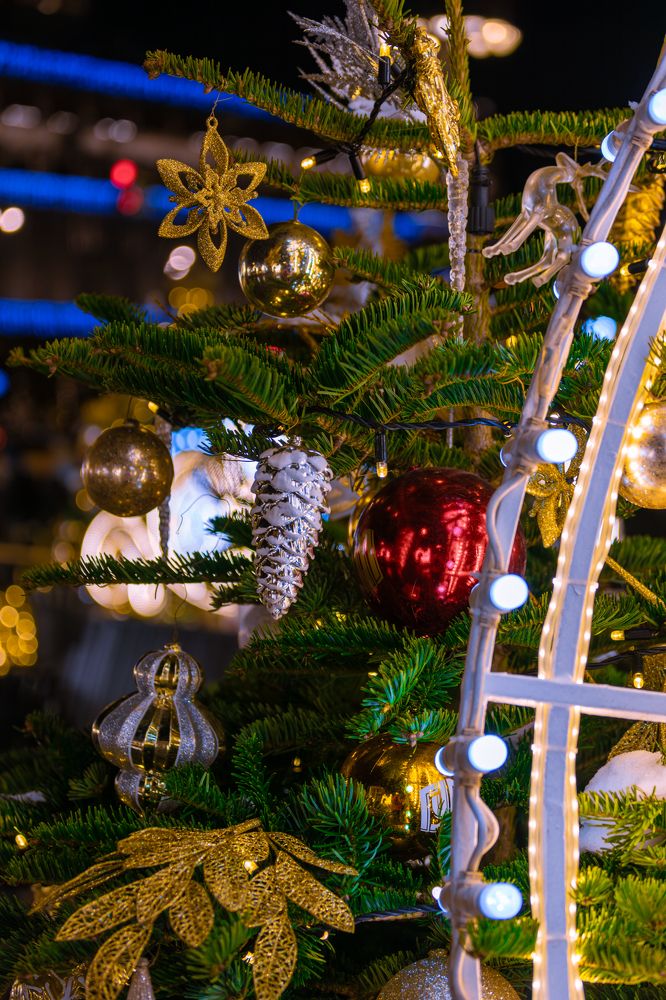 Photograph by Siarhei Saladukhin