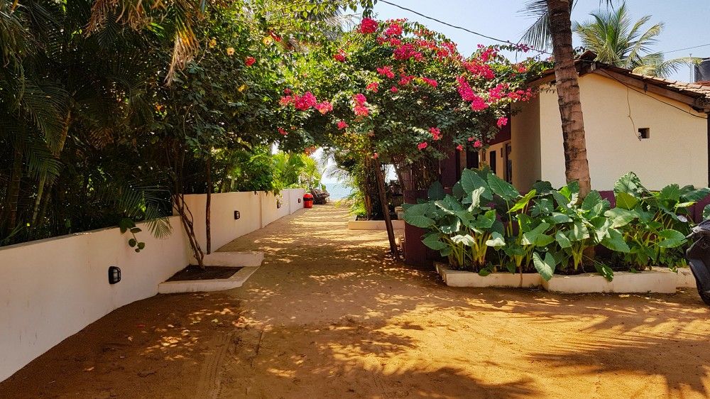 Фотография автора Максим Грибанов