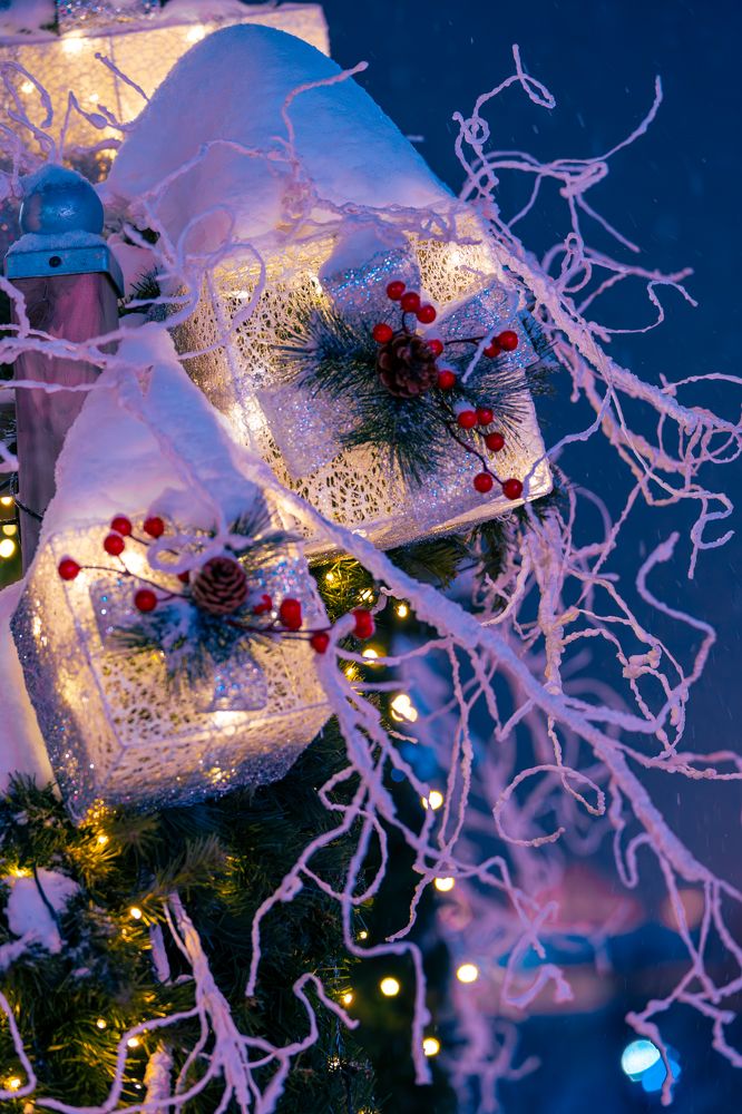 Photograph by Siarhei Saladukhin