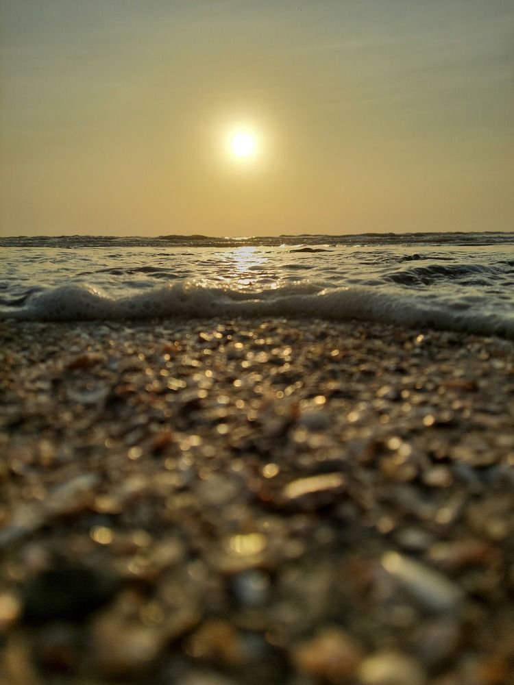 Golden Hour