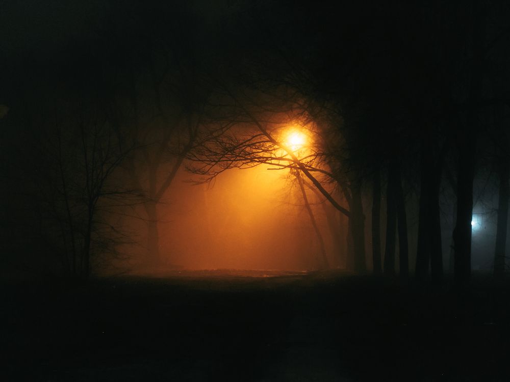 Фотография автора Елена Чиликина