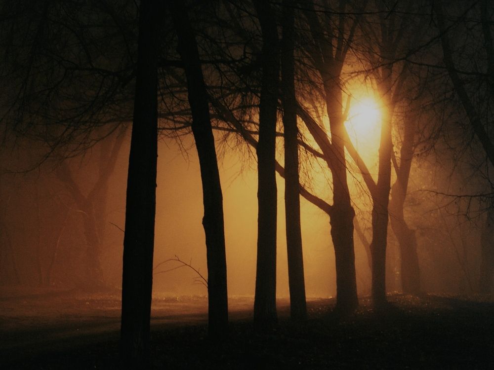 Фотография автора Елена Чиликина