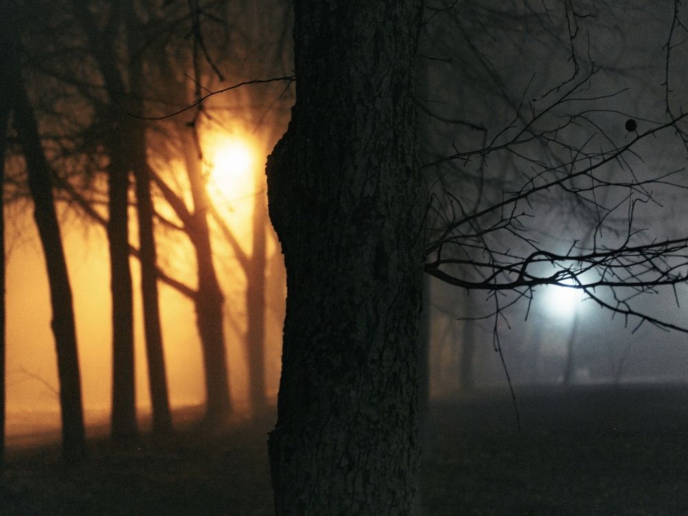 Фотография автора Елена Чиликина