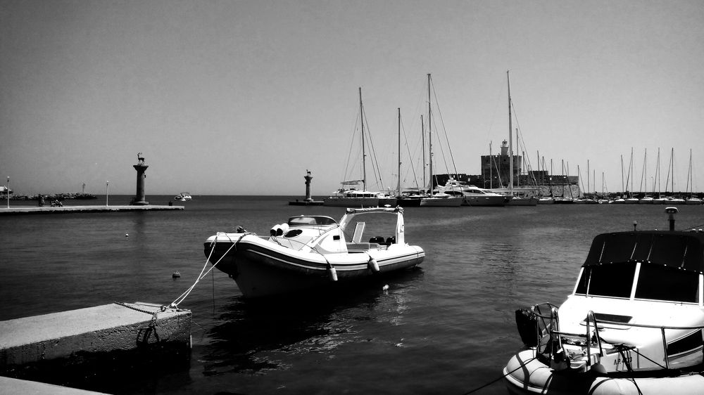 Фотография автора Юлия Сурина