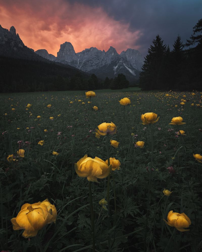 Photograph by Andrea Curzi