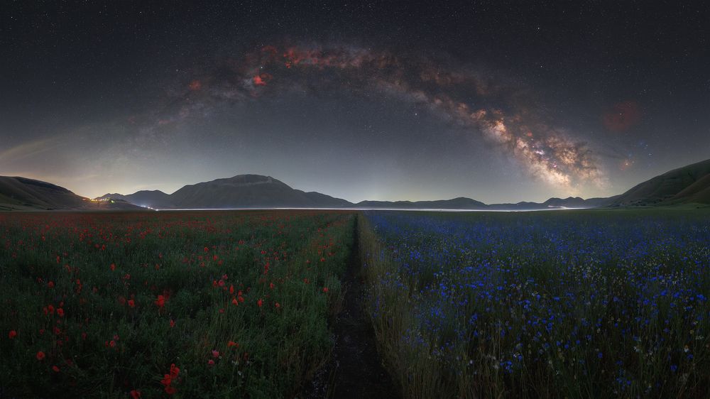 Photograph by Andrea Curzi