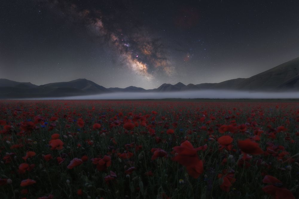 Photograph by Andrea Curzi