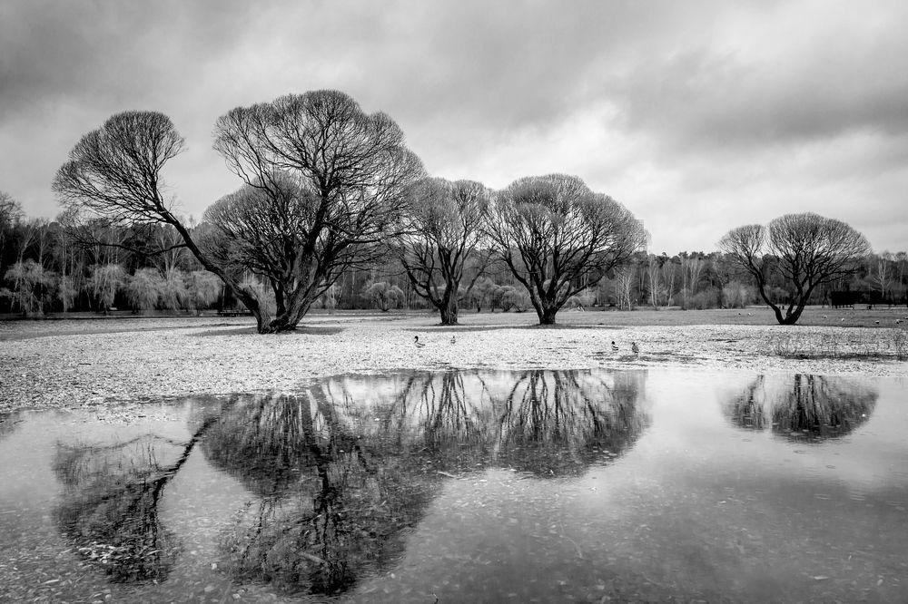 Photograph by Сергей Алексеев