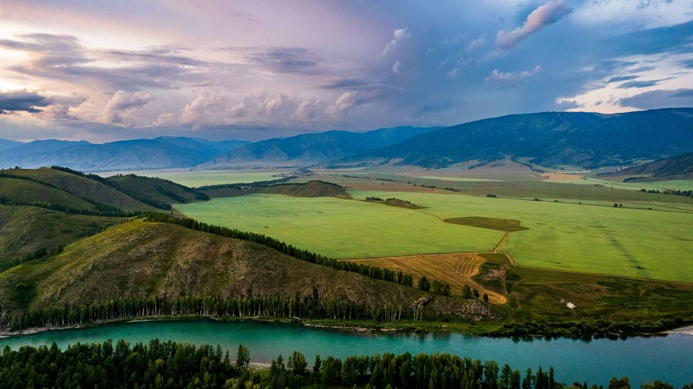 Photograph by Totoro