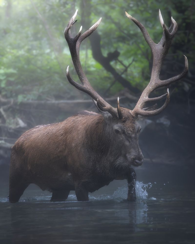 Photograph by Andrea Curzi