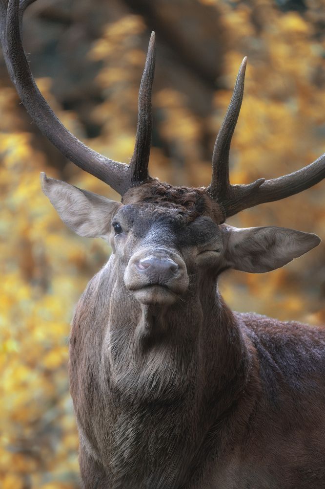 Photograph by Andrea Curzi