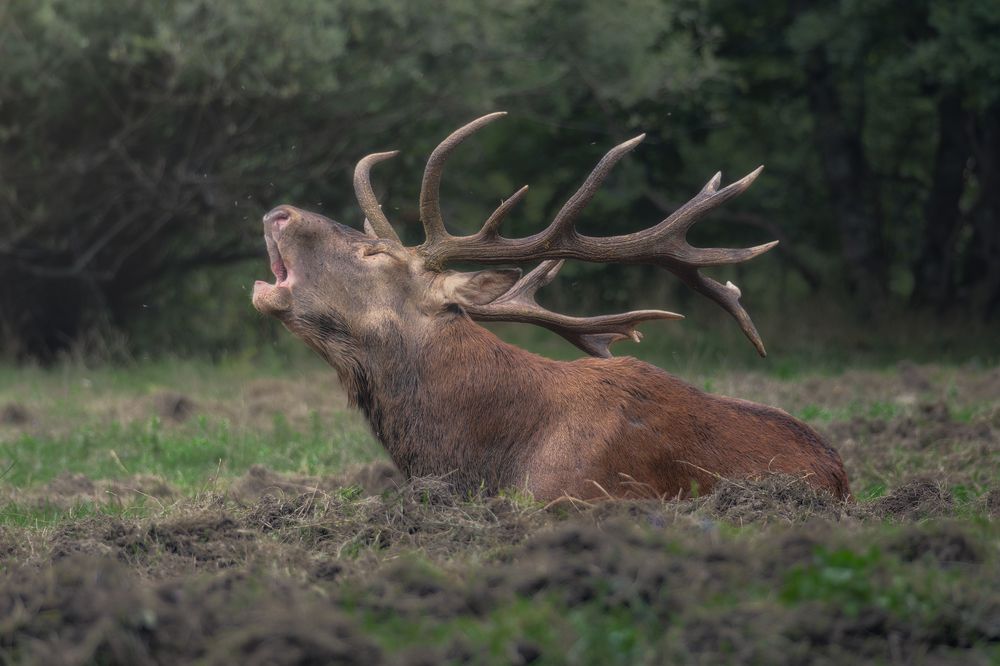 Photograph by Domenico Marrano