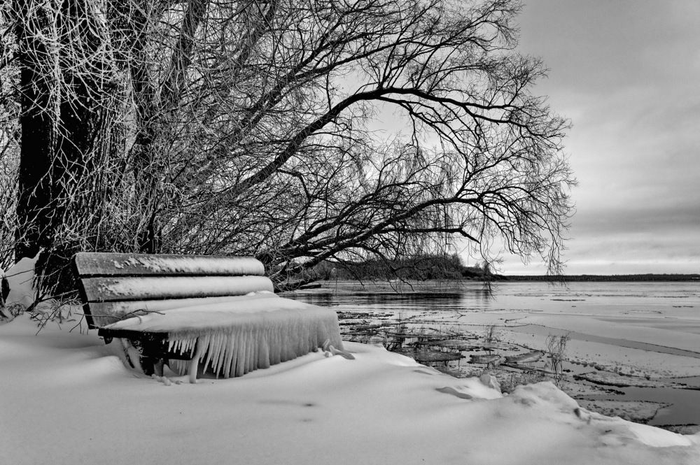 Забытая лавочка