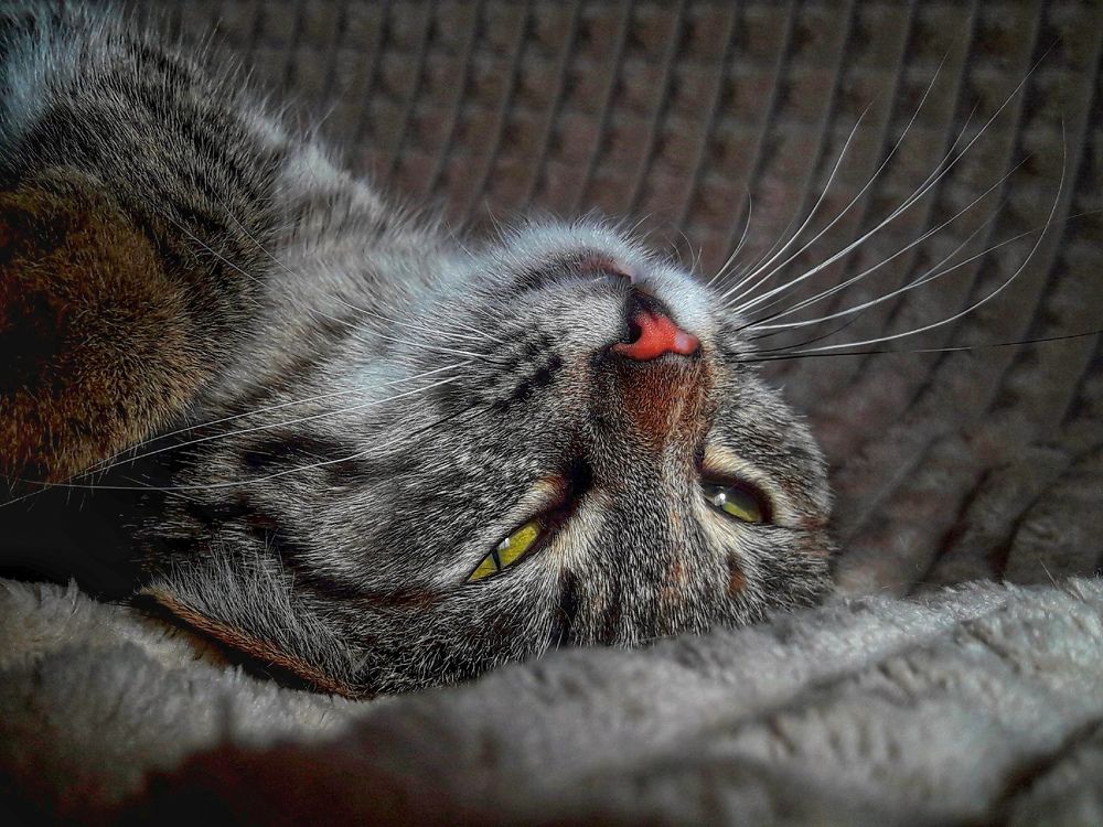 Photograph by Марина Мальцева