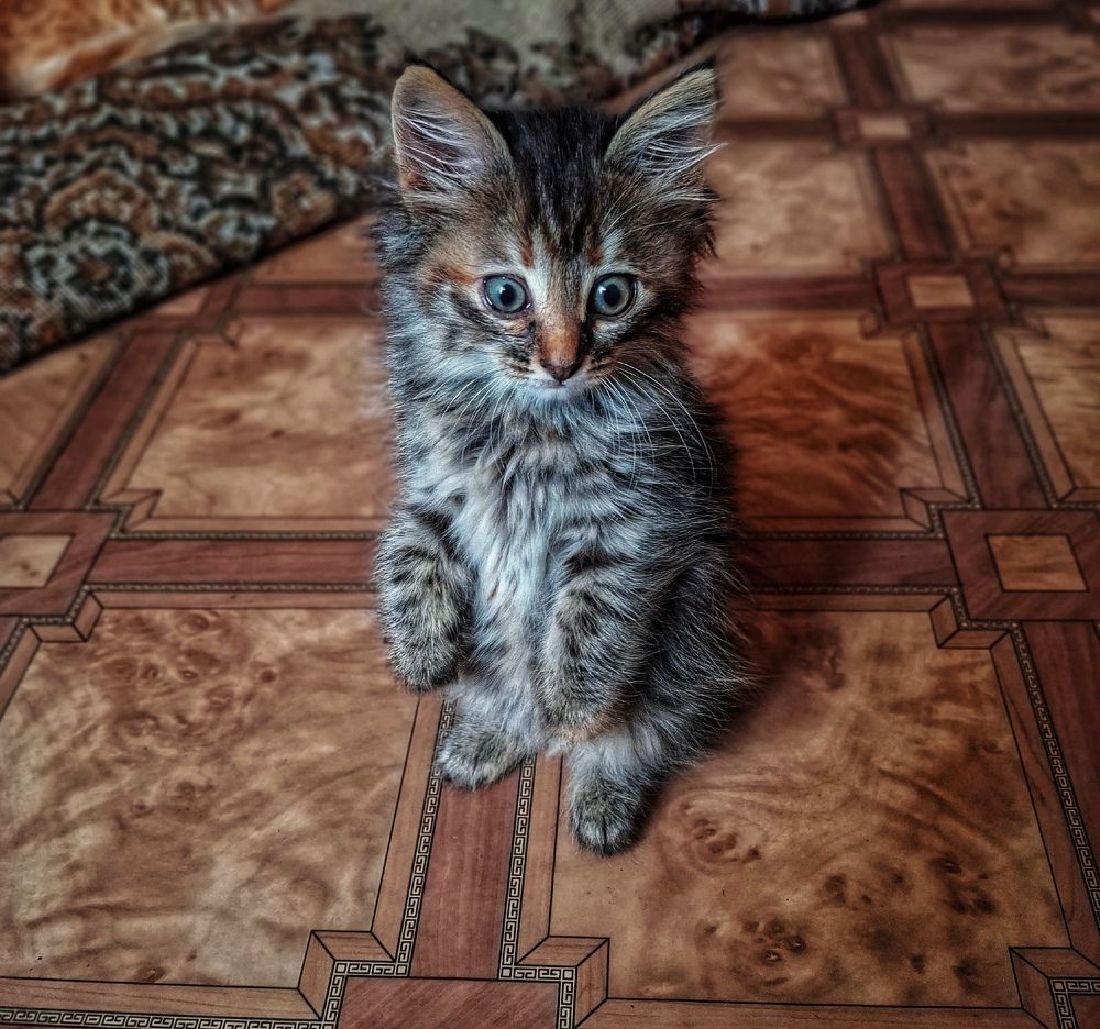 Photograph by Марина Мальцева