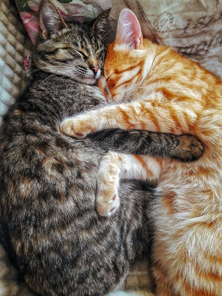 Photograph by Марина Мальцева