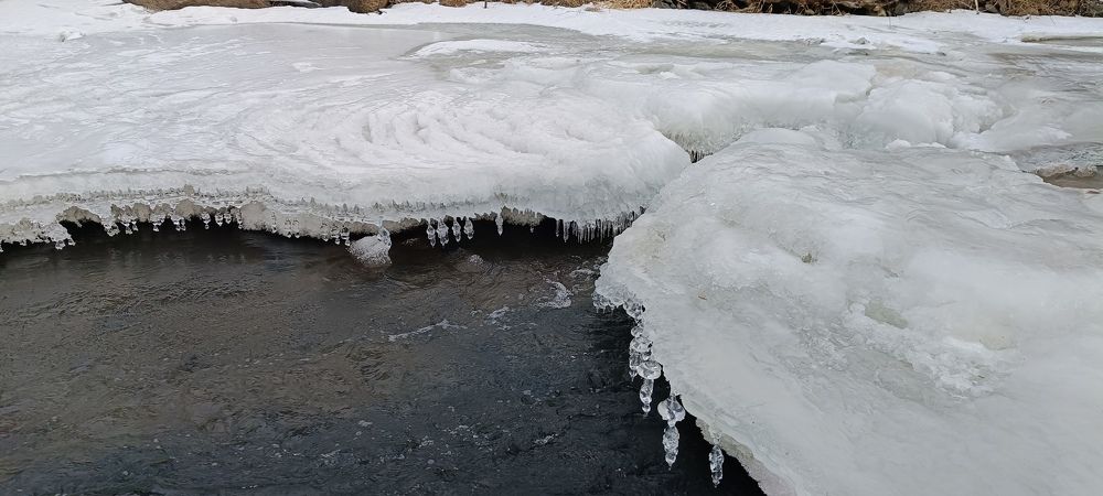 Photograph by СТЕПАН ДЖУЛАКИДЗЕ