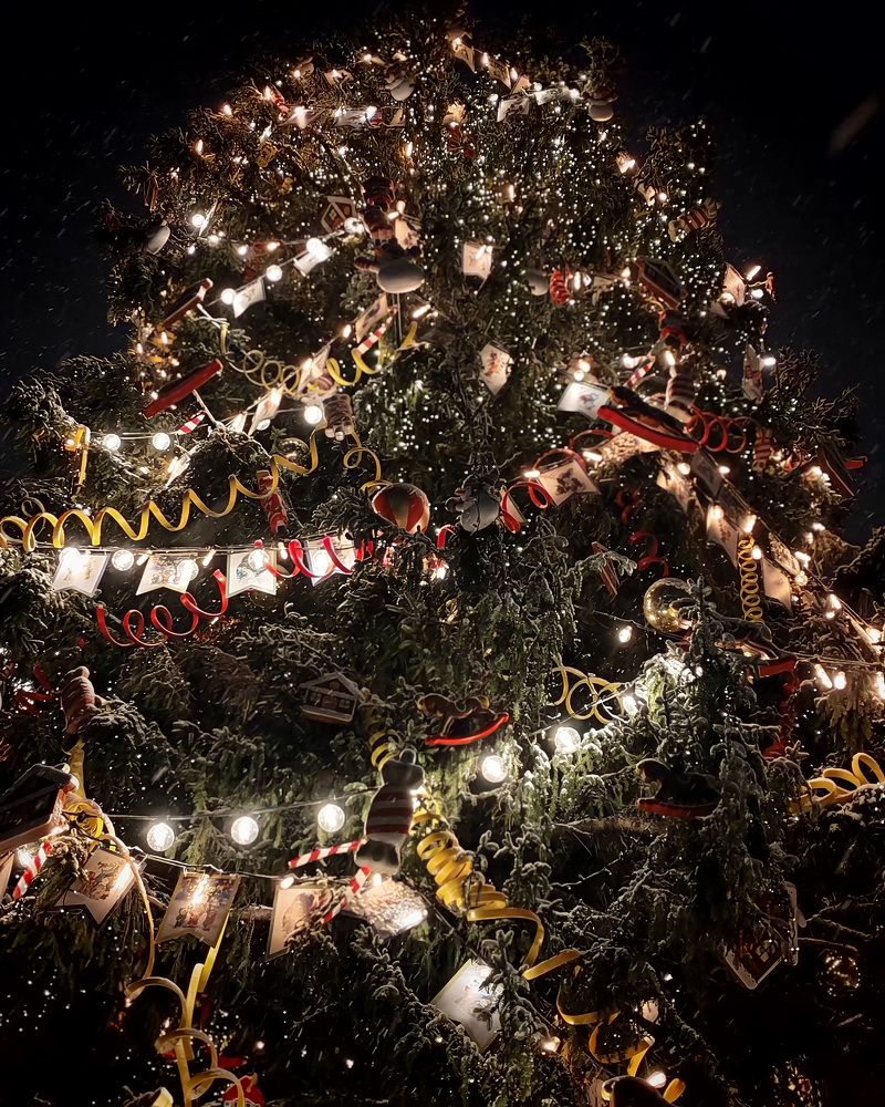 Фотография автора Georgii Eletskikh