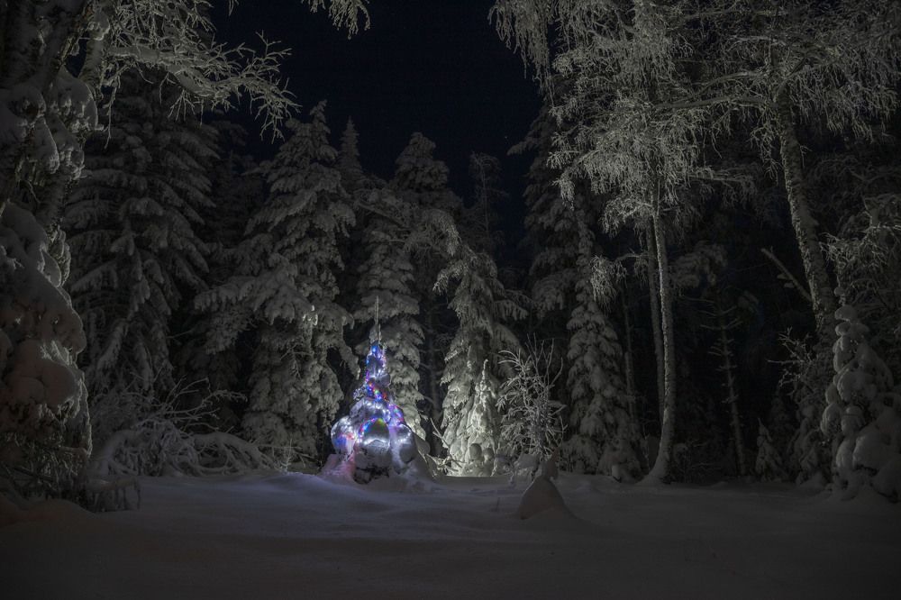 Photograph by Елена Перминова