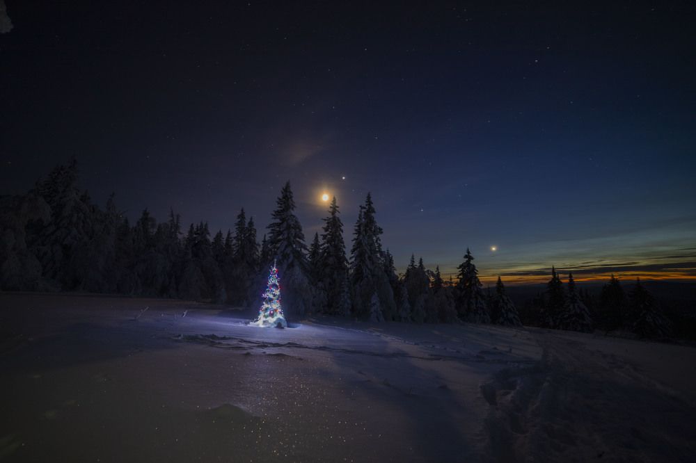 Photograph by Елена Перминова