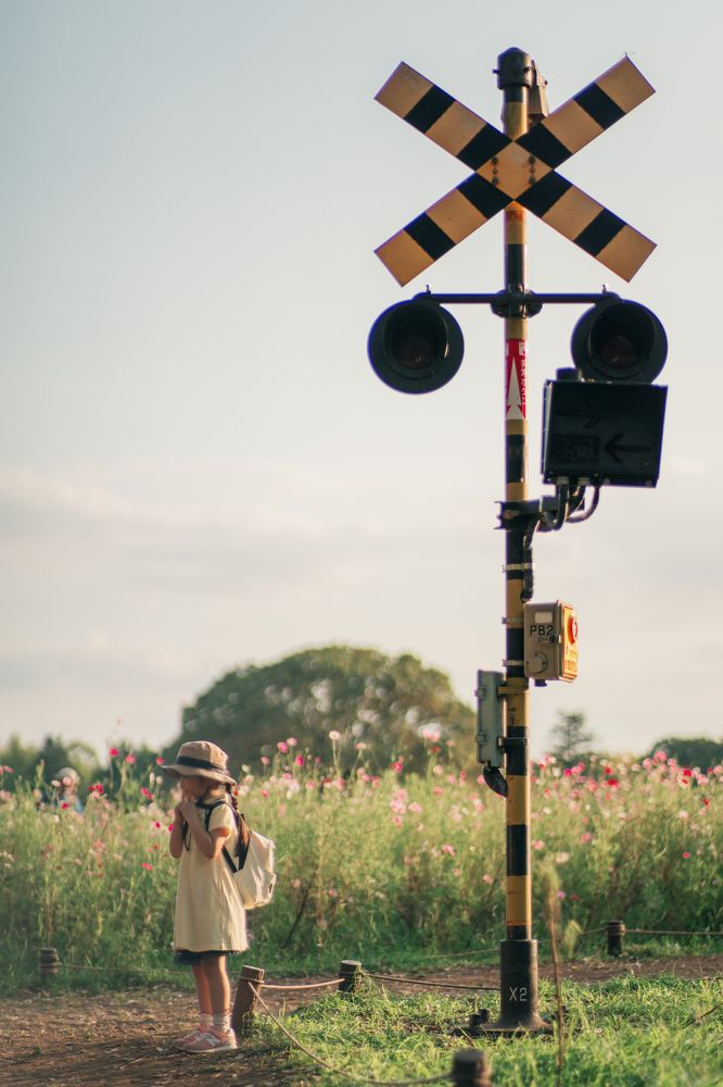 The Promised Place Bathed in Sunset