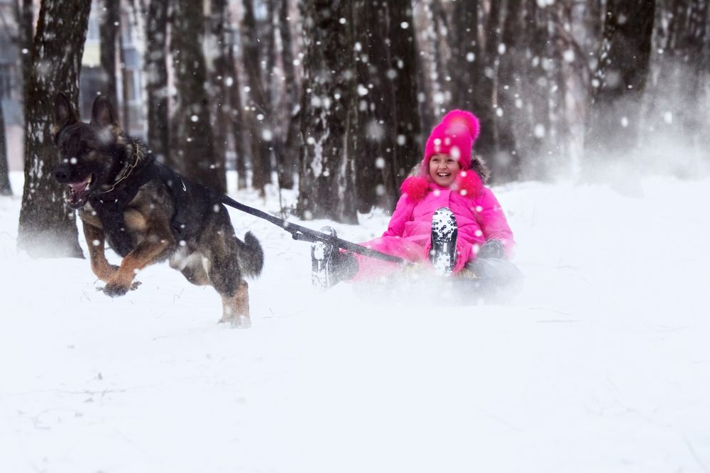 Photograph by Natalya Gracheva