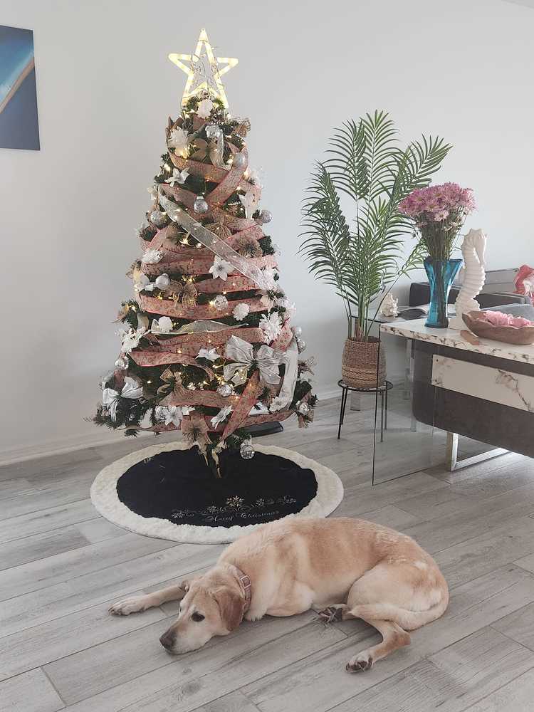 Фотография автора Nieves Gloria Alvarez Diaz