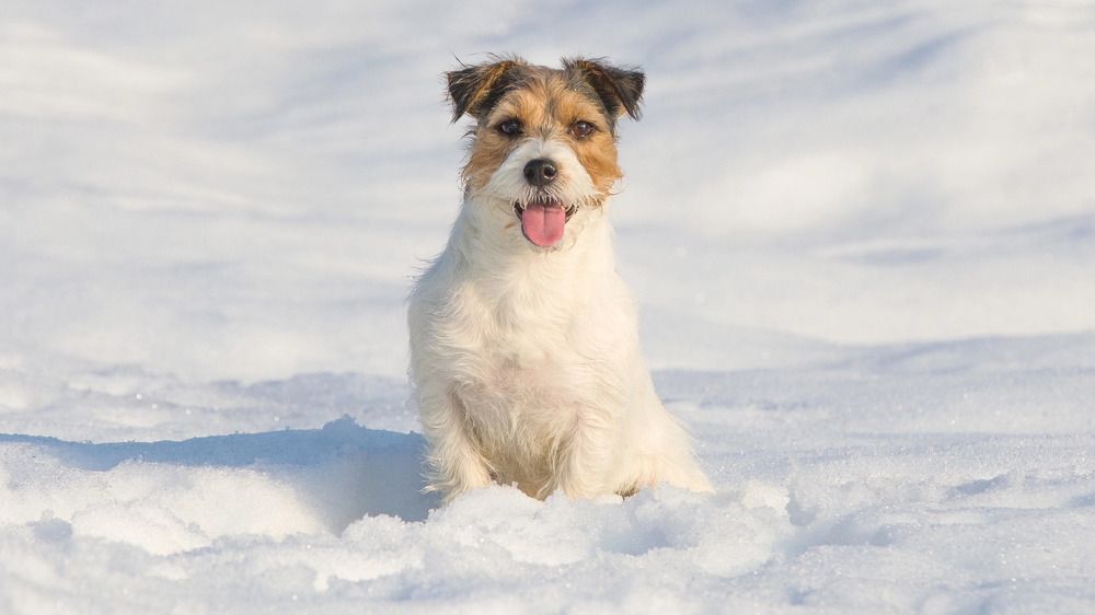 Photograph by Елена Данченко