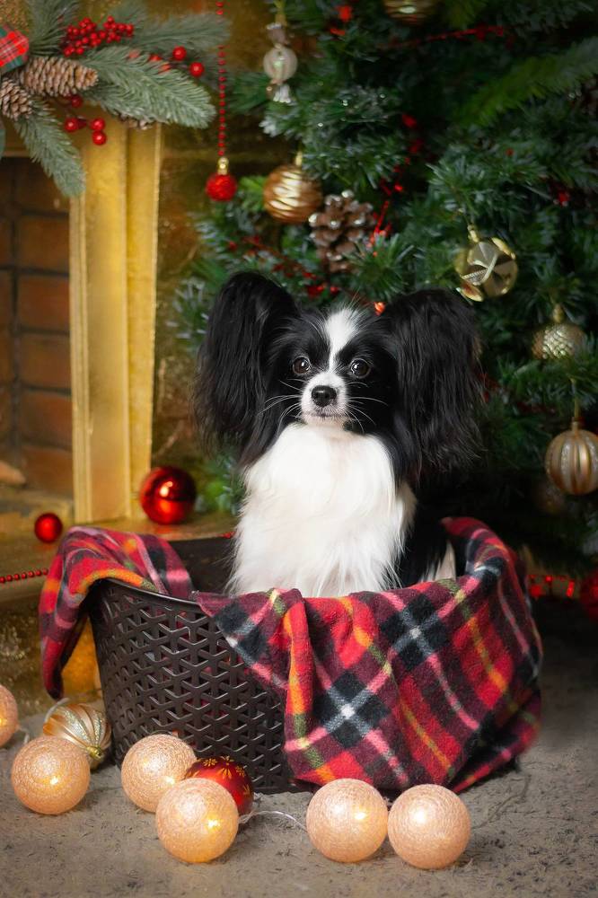 Photograph by Veronika Zatorkina