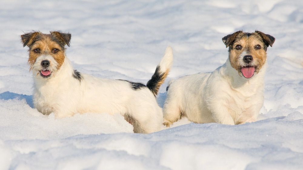 Photograph by Елена Данченко