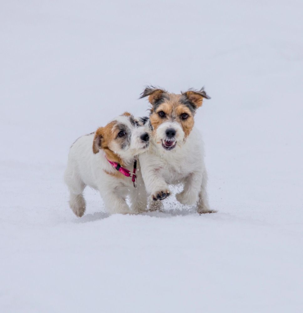 Photograph by Елена Данченко