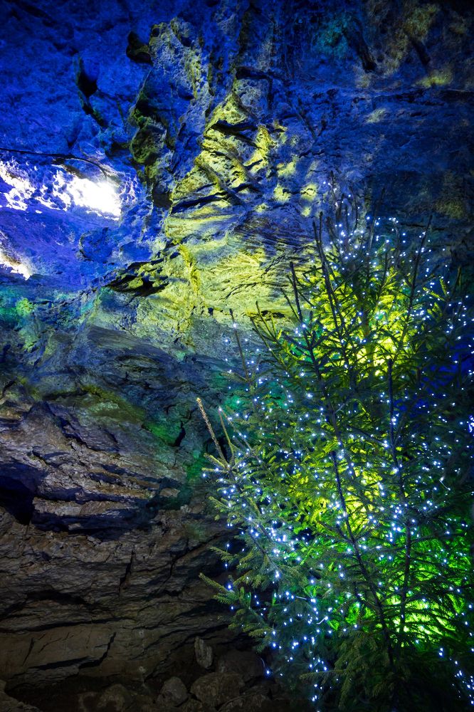 Photograph by Veronika Zatorkina