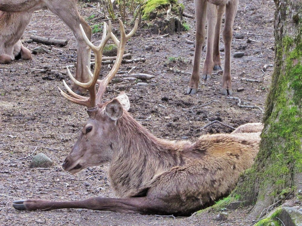 Фотография автора Paula Torrent