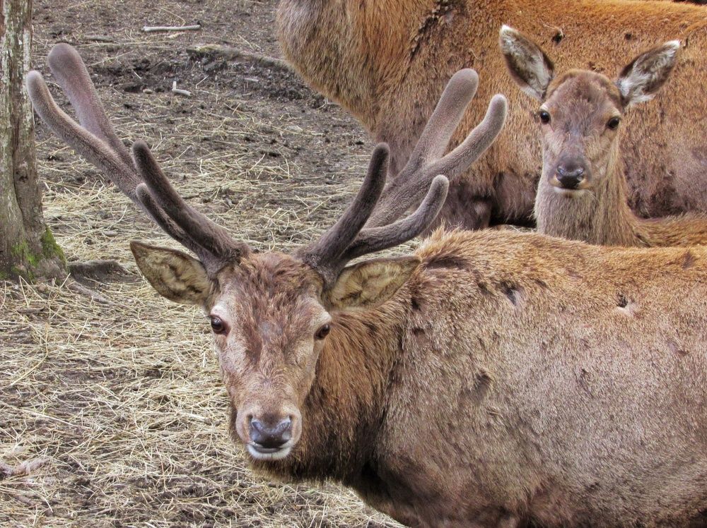 Фотография автора Paula Torrent