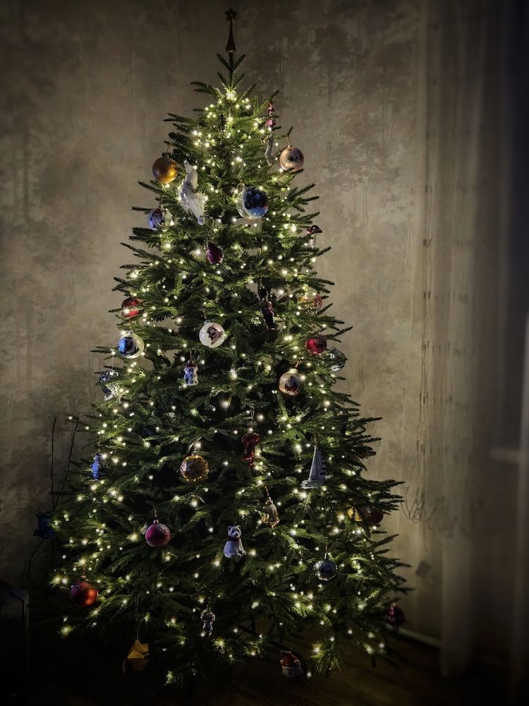 Photograph by Елена Ямнюк