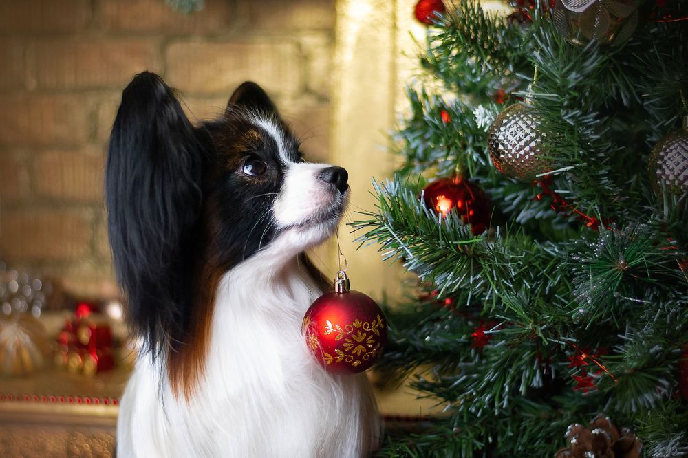 Photograph by Veronika Zatorkina