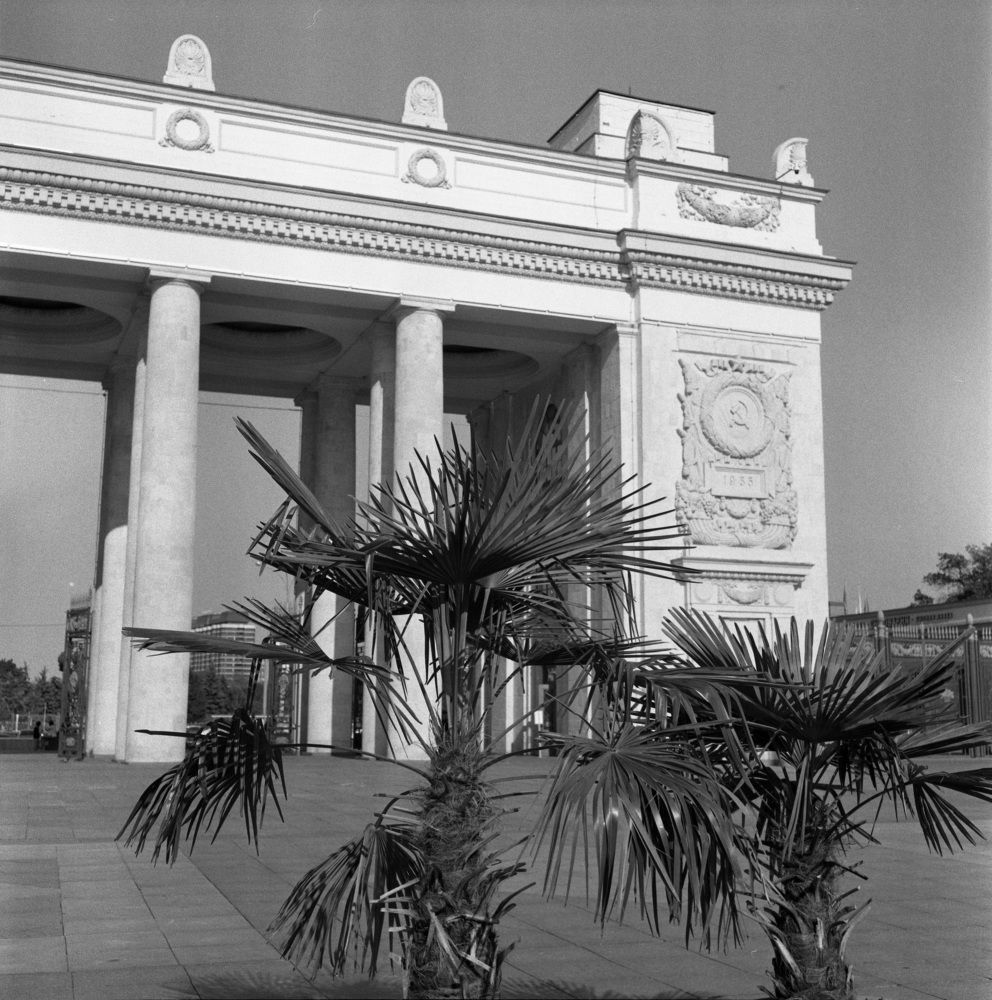 Photograph by Игорь Двойных