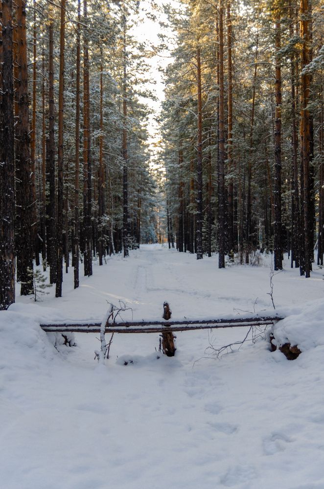 Photograph by Александр Цыдыпов