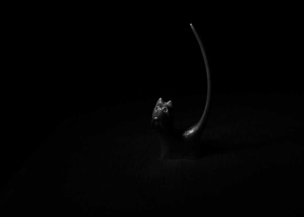 Фотография автора Chervonniy_Konstantin