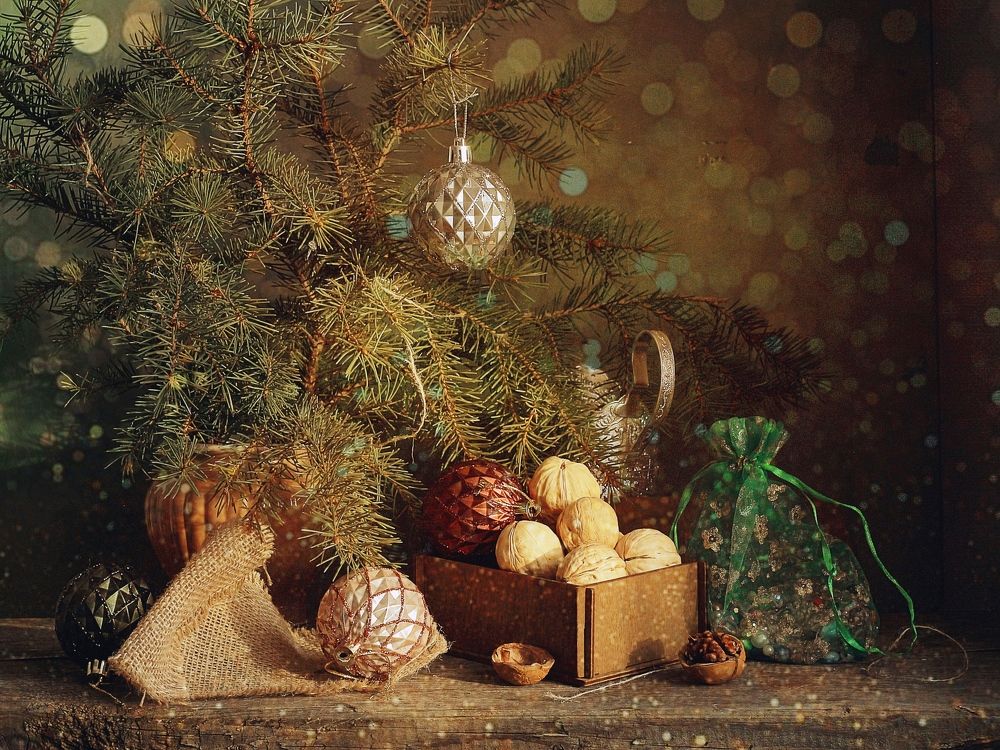 Photograph by Евсеева Валентина