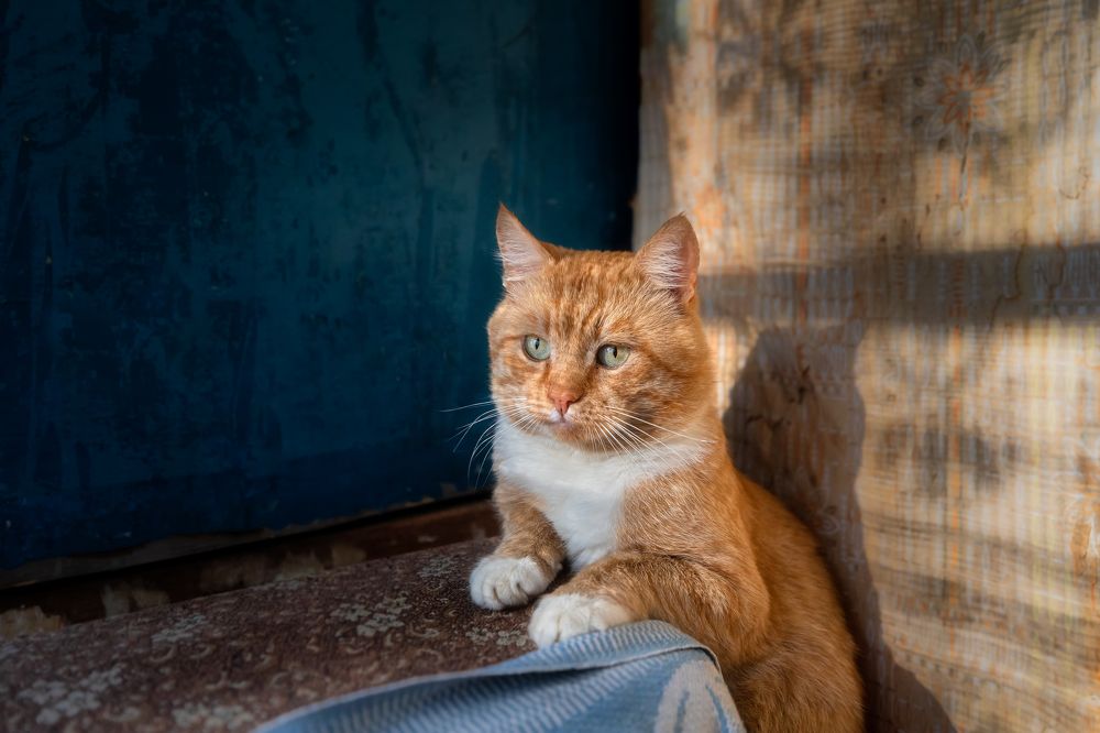 Фотография автора Alexander Pashenichev