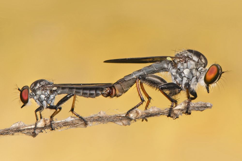 Photograph by ARUNAVA DEY