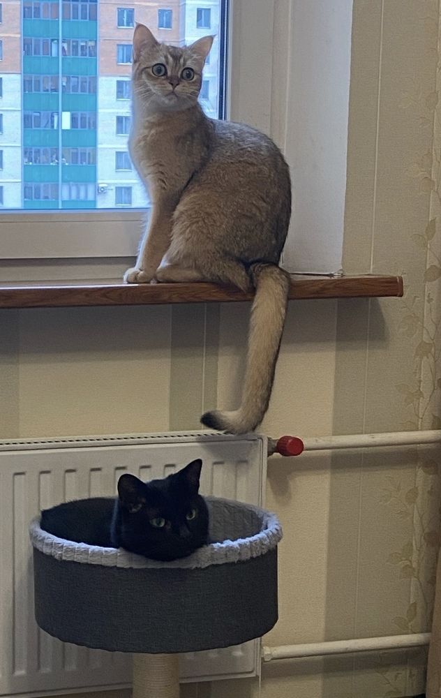 Photograph by Галина Чернякова