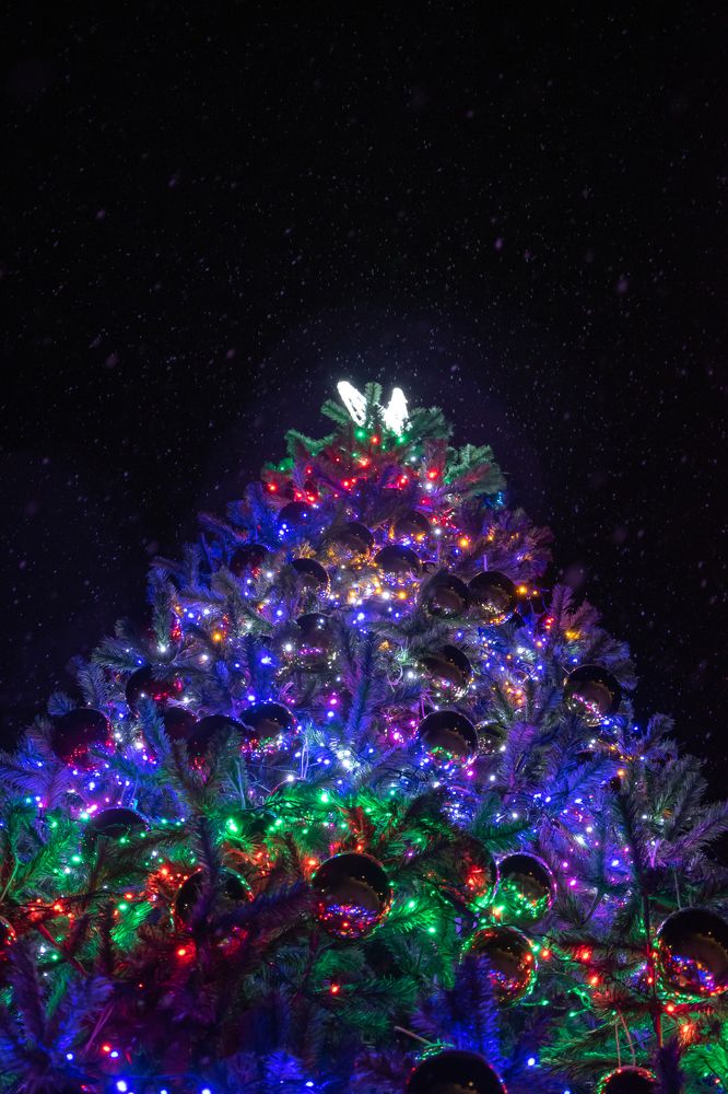 Photograph by Ксения Малютина